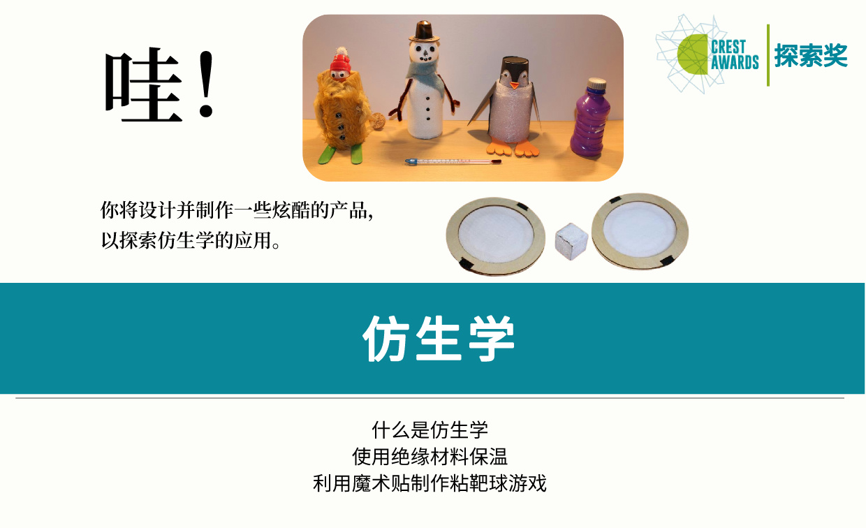 仿生学