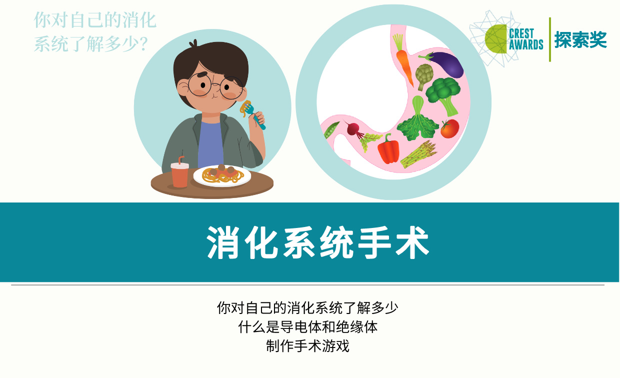 消化系统手术