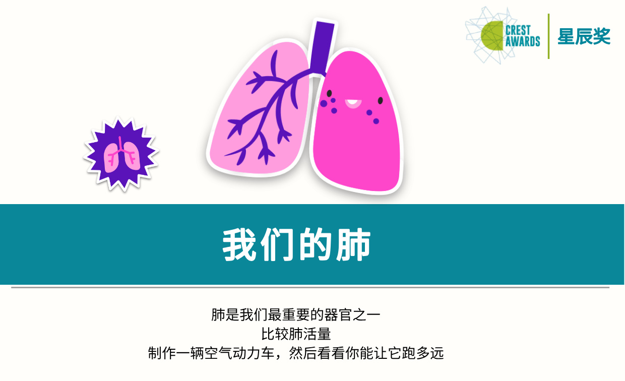 我们的肺